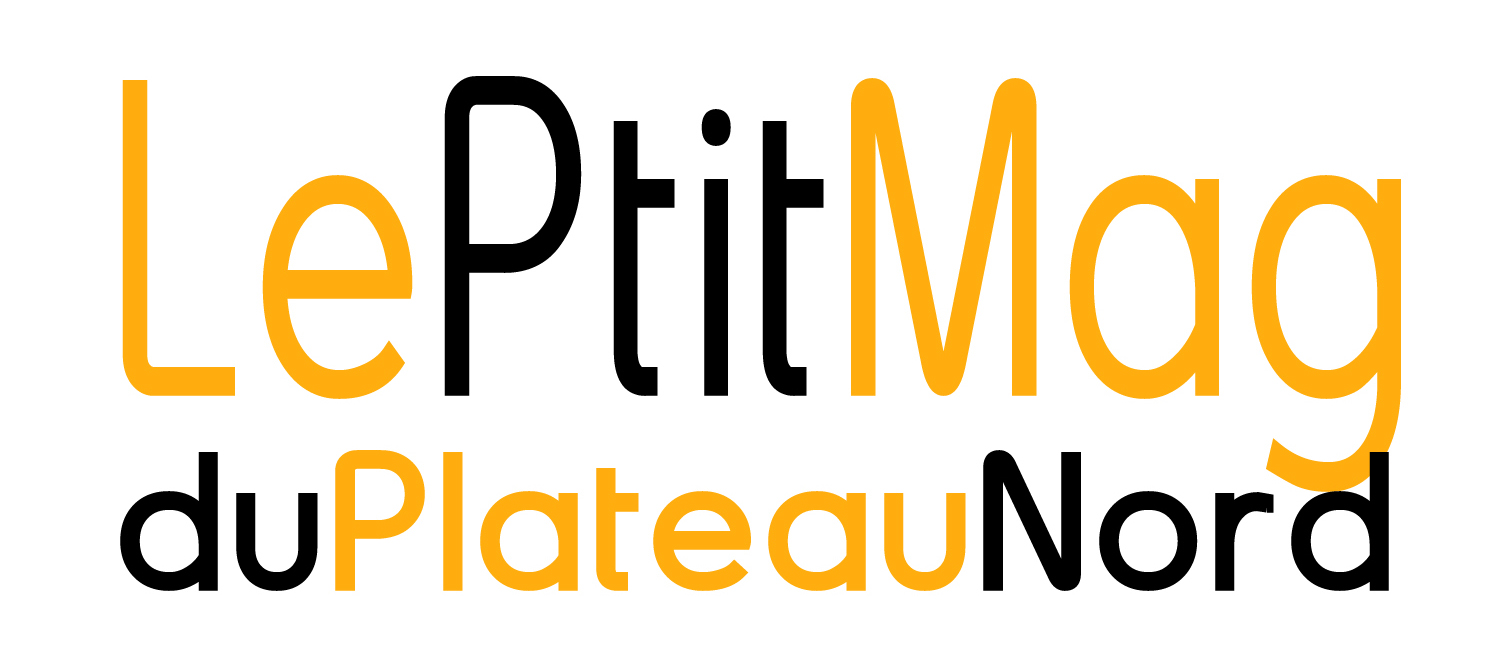 logo le ptit mag du plateau nord